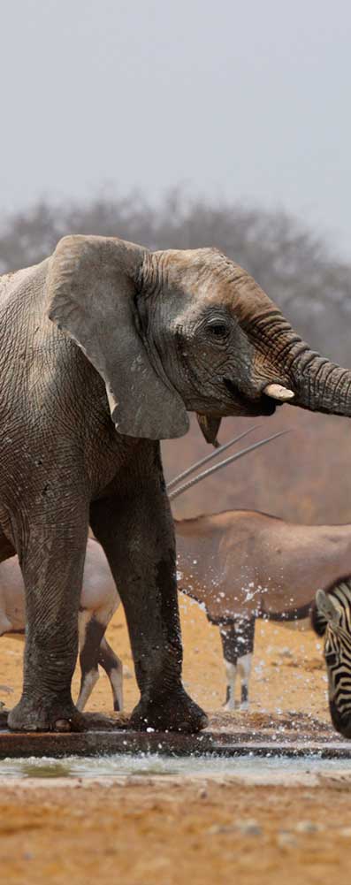 AFRIQUE DU SUD - Vacances-naturistes